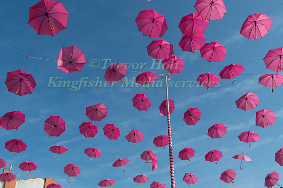 Pink umbrellas in the market at La Rochelle