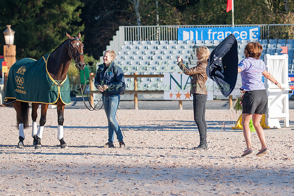 Team Fredericks try to get Flying Finish to prick his ears for a Photo