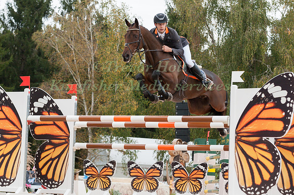 Christopher Burton AUS)  riding TS Jamaimmo
