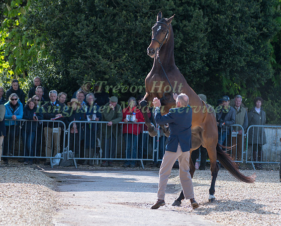 DENIS MESPLES (FRA) AND  OREGON DE LA VIGNE