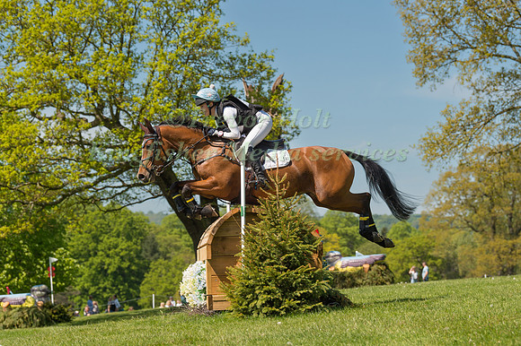 ANNA PRICE RIDING  SHADOW STAR QUALITY