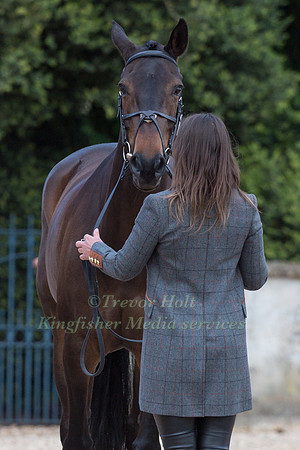 Hazel Towers (GBR) and  Simply Clover