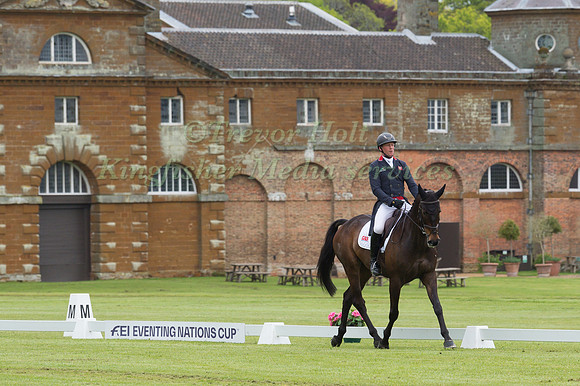 OLIVER TOWNEND AND ARKLOW PUISSANCE