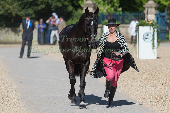 NANA DALTON (GBR) AND  ABSOLUT OPPOSITION