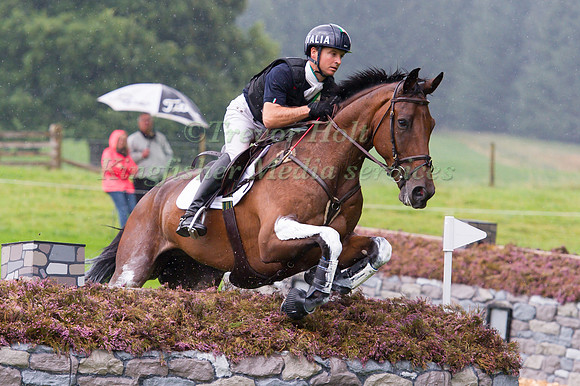 Luca Roman of Italy riding Castlewoods Jake