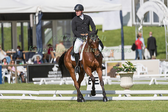 ANTHONY CLARK (GBR) AND CRAMBAMBOLI TAKING PART IN THE DRESSAGE PHASE OF THE  CCI THREE STAR COMPETITION AT THE 2017 EQUI-TREK BRAMHAM INTERNATIONAL HORSE TRIALS