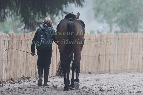 ZENSHERA AFTER DRESSAGE