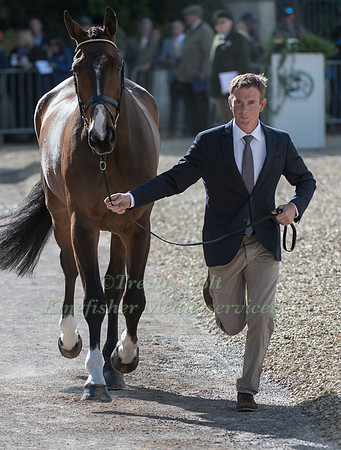 PADRAIG MCCARTHY (IRL) AND  MR CHUNKY