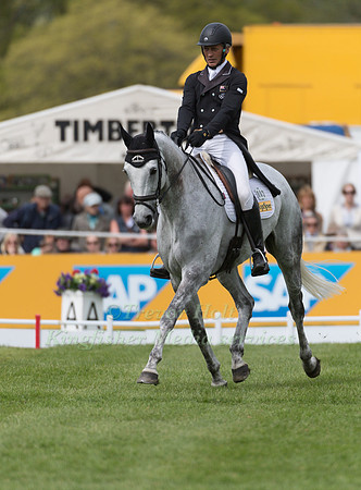 ANDREW NICHOLSON (NZL) AND SWALLOW SPRINGS