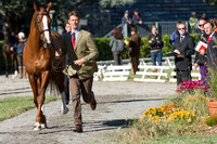 William Fox-Pitt and Chilli Morning