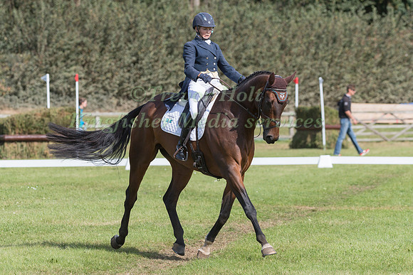 LOUISE HARWOOD AND TREVILLICK
