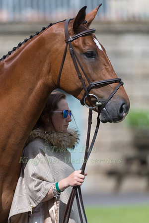 LAURA COLLETT (GBR) AND MR BASS AT THE EQUI-TREK CCI *** FINAL HORSE INSPECTION OF THE 2017 BRAMHAM INTERNATIONAL HORSE TRIALS