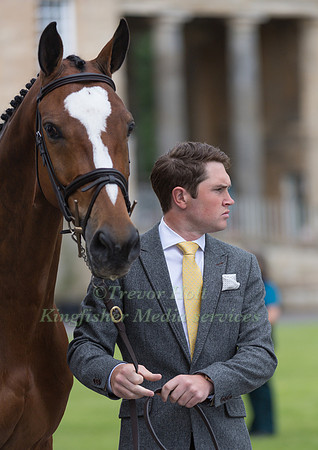 JAMES SOMMERVILLE (GBR) AND TALENT AT THE EQUI-TREK CCI *** FINAL HORSE INSPECTION OF THE 2017 BRAMHAM INTERNATIONAL HORSE TRIALS