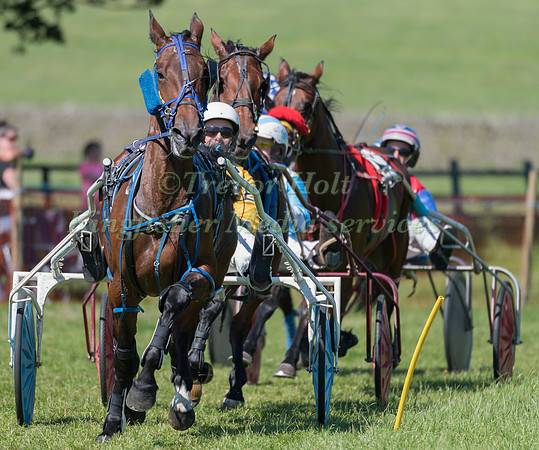 Harness racing at Helifield , Yorkshire
