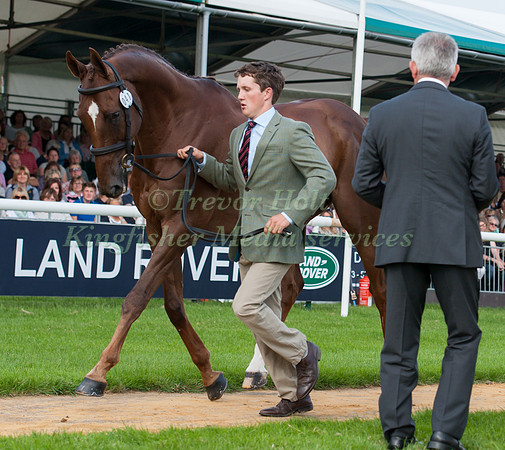 Tom McEwan and Dry Old Party at the 1st horse inspection