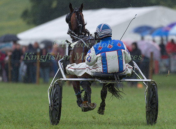 Helifield Harness Racing