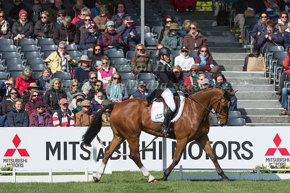 Blyth Tait (NZL) riding Bear Necessity V in the Dressage phase  of  the 2017 Mitsubishi Motors  Badminton Horse Trials
