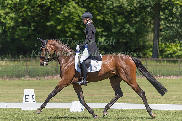 INGRID KLIMKE (GER) AND EQUISTROS SIENA JUST DO IT