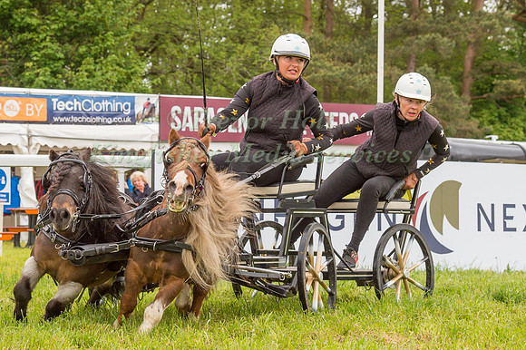 CHEEKY BLINDERS SCURRY TEAM