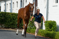 GEMMA TATTERSALL (GBR) AND PAMERO 4