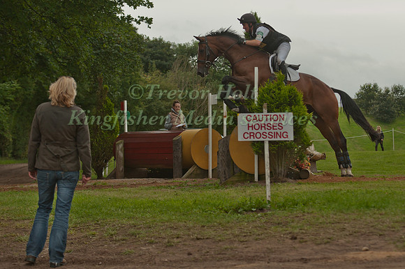 Caution Horses Crossing