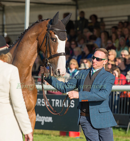 MICHAEL OWEN (GBR) AND BRADELEY LAW