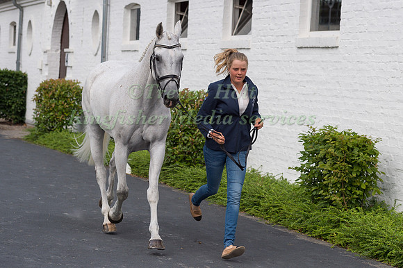 ISABEL ENGLISH (AUS) AND FELDALE MOUSE