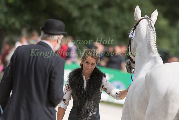 CAROLINE  POWELL (NZL) AND UP UP AND AWAY AT THE EQUI-TREK CCI *** FINAL HORSE INSPECTION OF THE 2017 BRAMHAM INTERNATIONAL HORSE TRIALS