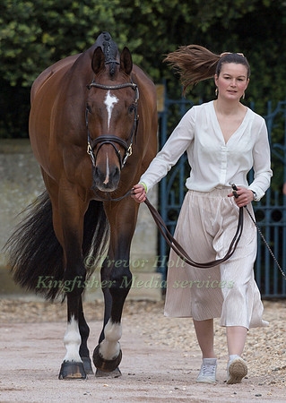 Malin Josefsson (SWE) and  Golden Midnight