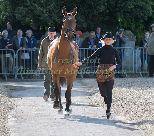 GEORGIE STRANG  (GBR) AND  COOLEY EARL
