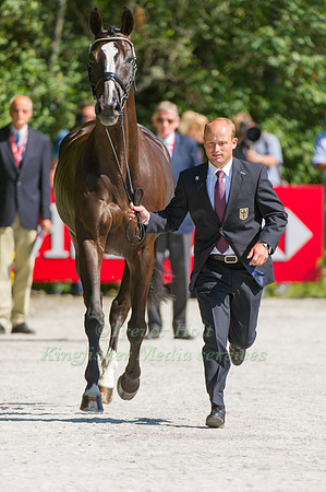 MICHAEL JUNG AND HALUNKE FBW