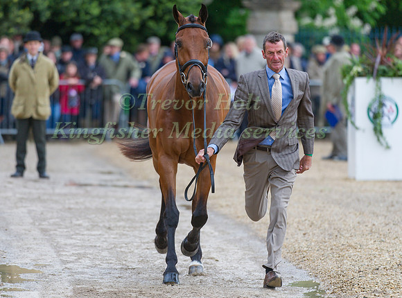 Mark Todd and Leonidas II
