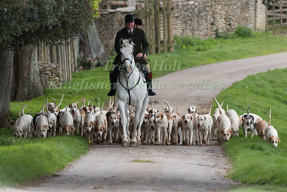 Beaufort Fox Hounds
