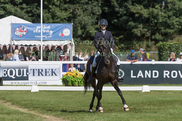 STORM STRAKER  AND VSPLESK