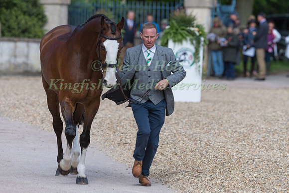 Michael Owen (GBR) and  Bradeley Law