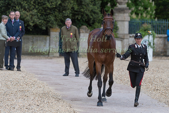 Arianna Schivo (ITA) and  Quefira de l'Ormeau