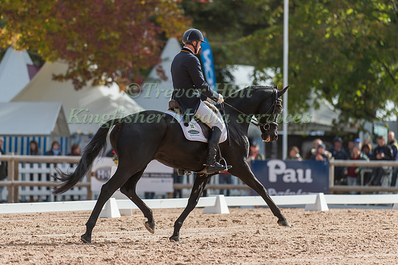 Andreas Dibowski of Germany riding FRH Butts Avedon