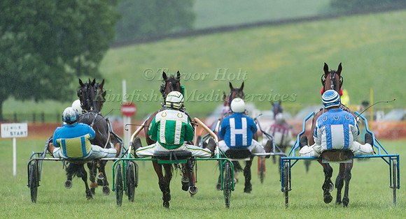 Helifield Harness Racing
