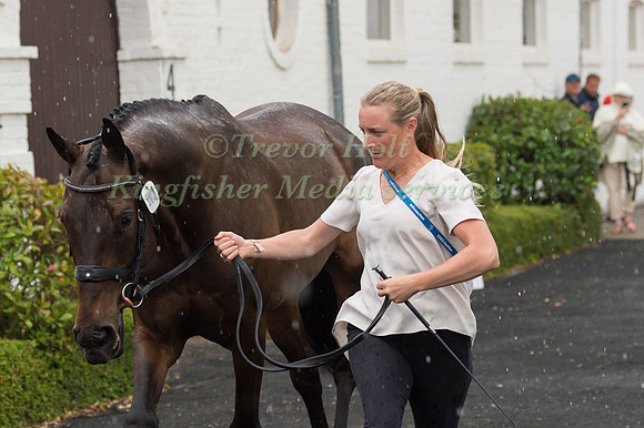 CAMILLA SPEIRS AND BT ANGELO