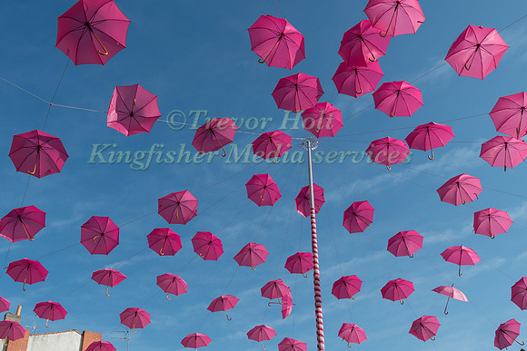 Pink umbrellas in the market at La Rochelle