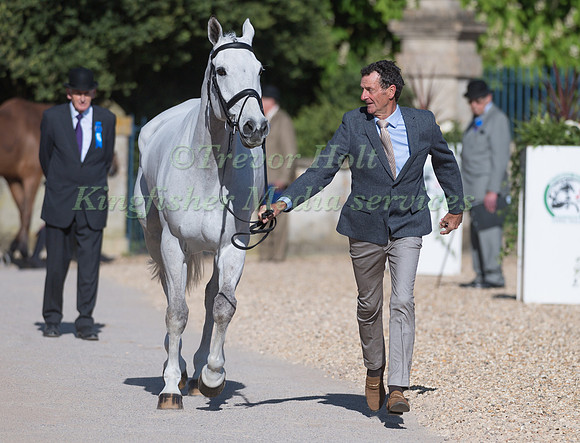 MARK TODD (NZL) AND  KILTUBRID RHAPSODY