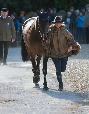 EMILIE CHANDLER (GBR) AND  COOPERS LAW