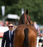 BEN HOBDAY (GBR) AND MULRYS ERROR AT THE EQUI-TREK CCI *** FINAL HORSE INSPECTION OF THE 2017 BRAMHAM INTERNATIONAL HORSE TRIALS