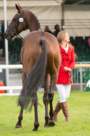 Lynn Symansky (USA) and  Donner