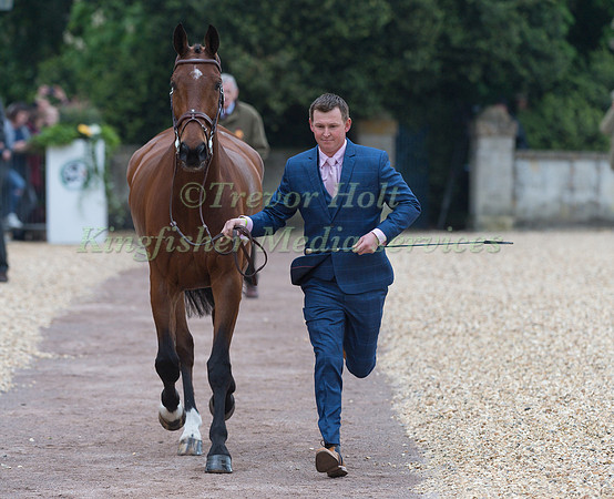 Matthew Heath (GBR) and  The Lion