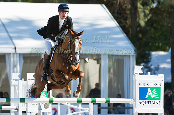 William Fox-Pitt and Chilli Morning