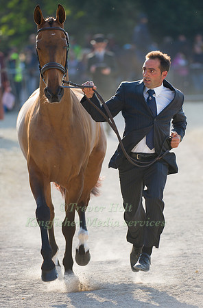 Alberto Hermoso and Hito CP