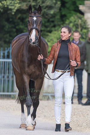 Ariel Grald (USA) and Leamore Master Plan