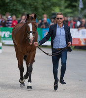 ALEXANDER WHEWALL (GBR) AND CHAKIRIS STAR AT THE EQUI-TREK CCI *** FINAL HORSE INSPECTION OF THE 2017 BRAMHAM INTERNATIONAL HORSE TRIALS