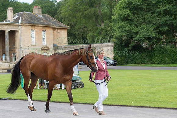 NICOLA WILSON (GBR) AND ONE TWO MANY AT THE EQUI-TREK CCI *** FINAL HORSE INSPECTION OF THE 2017 BRAMHAM INTERNATIONAL HORSE TRIALS